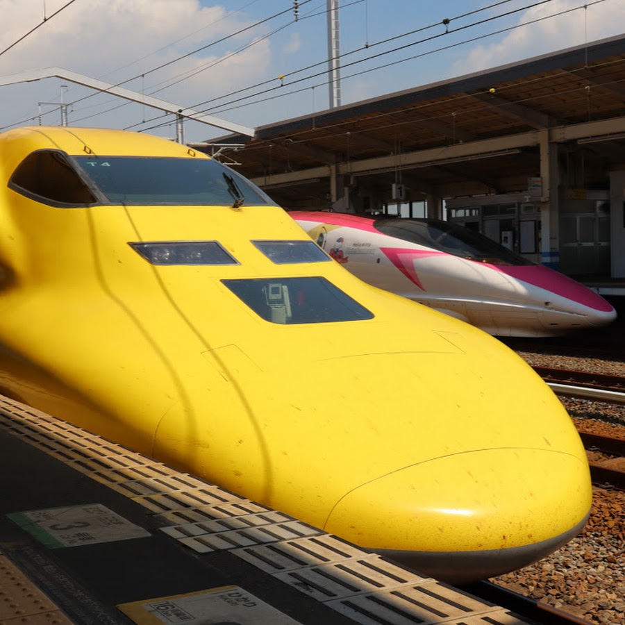 Images Of タルピー Japaneseclass Jp