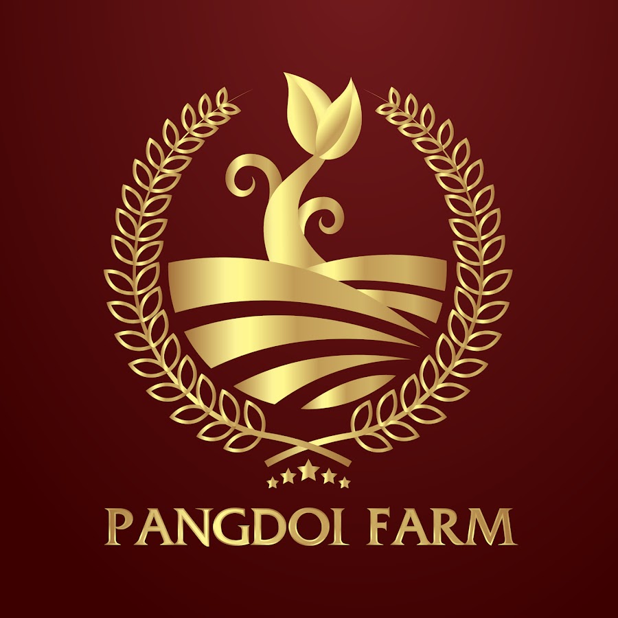 Jack Pangdoi YouTube channel avatar