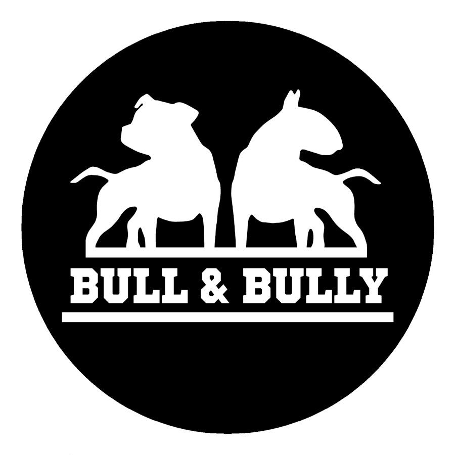 BULL & BULLY YouTube channel avatar