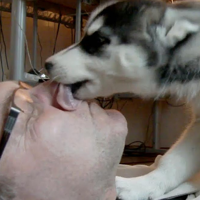 Anders Sjögren Net Worth & Earnings (2026)