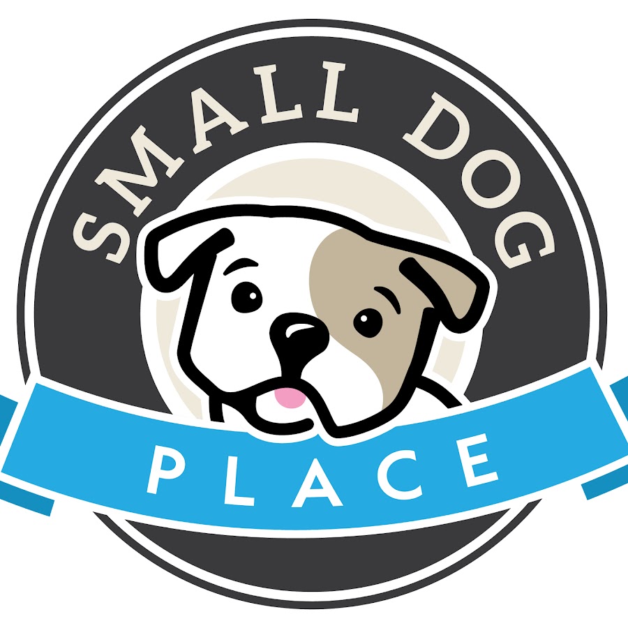 Small Dog Place YouTube channel avatar