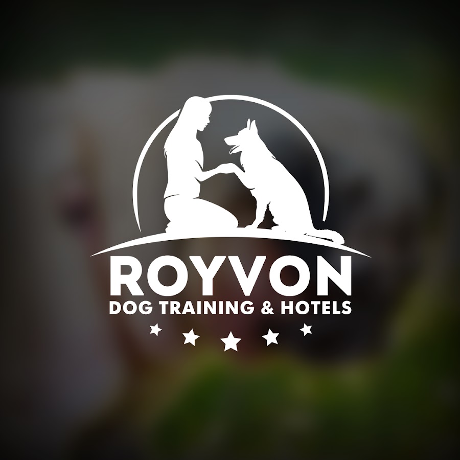 Royvon Dog Training and Hotels YouTube channel avatar