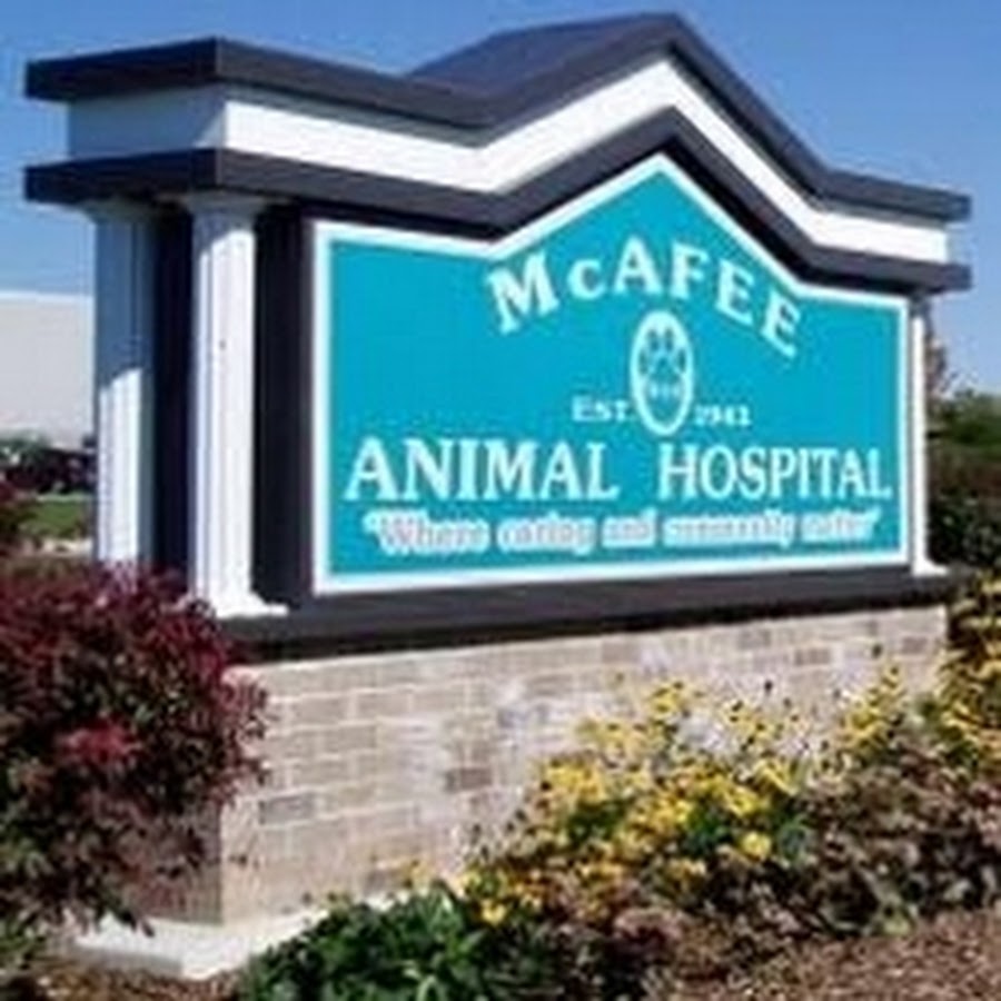 McAfeeAnimalHospital Avatar canale YouTube 