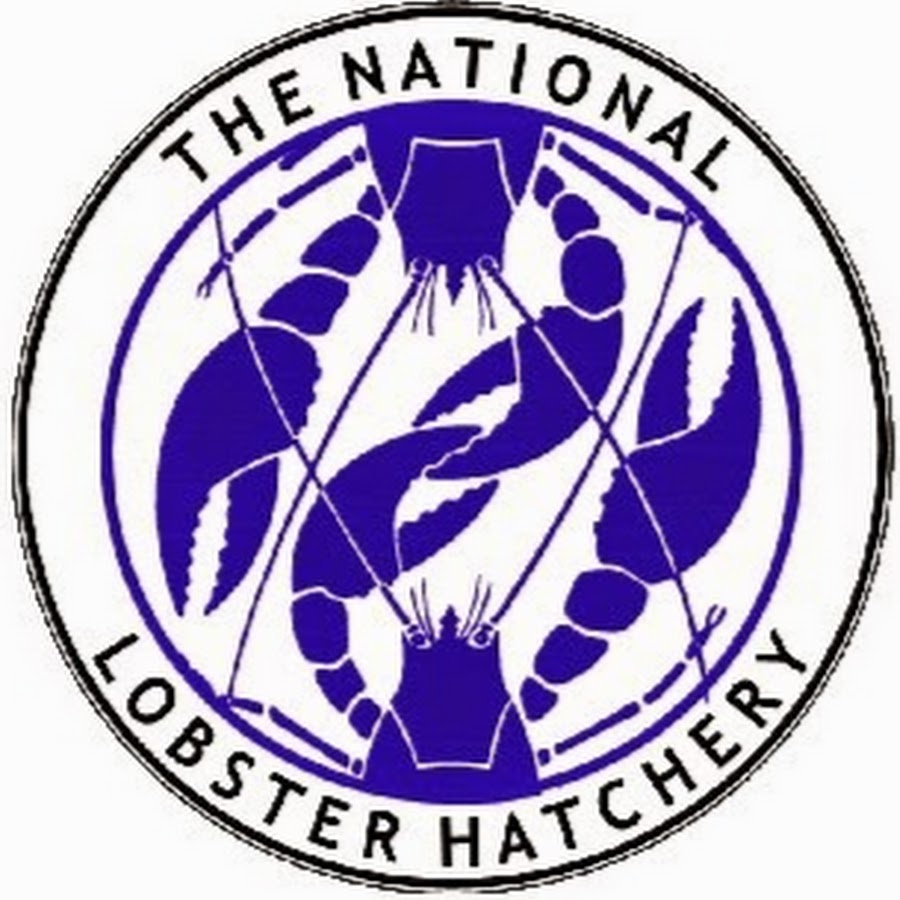 National Lobster Hatchery Avatar canale YouTube 