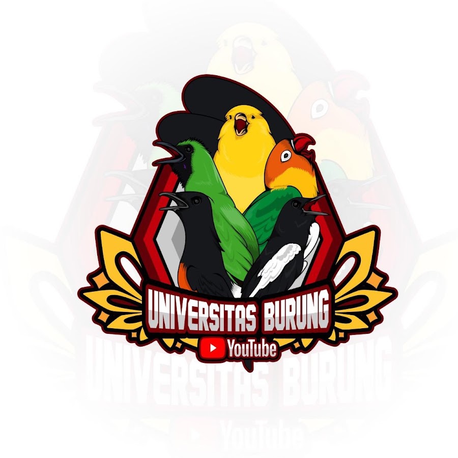 Universitas Burung رمز قناة اليوتيوب