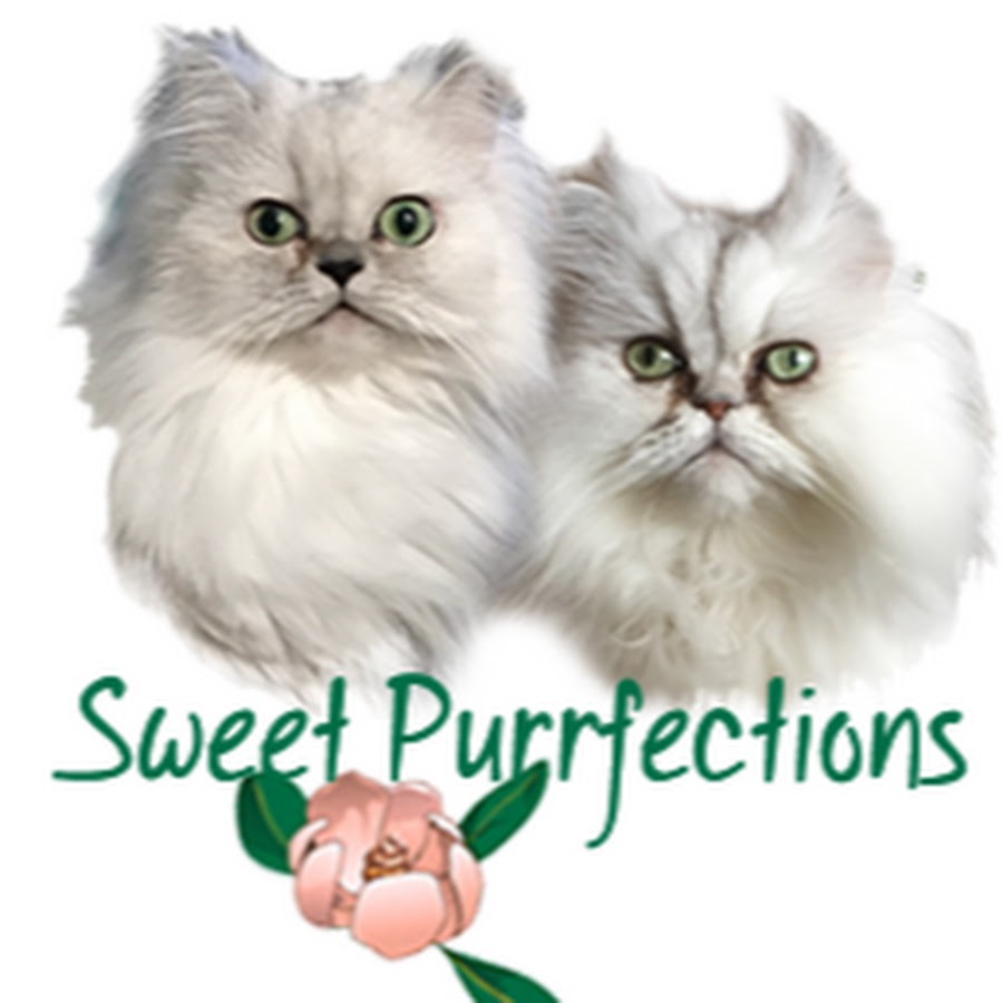 Sweet Purrfections YouTube 频道头像