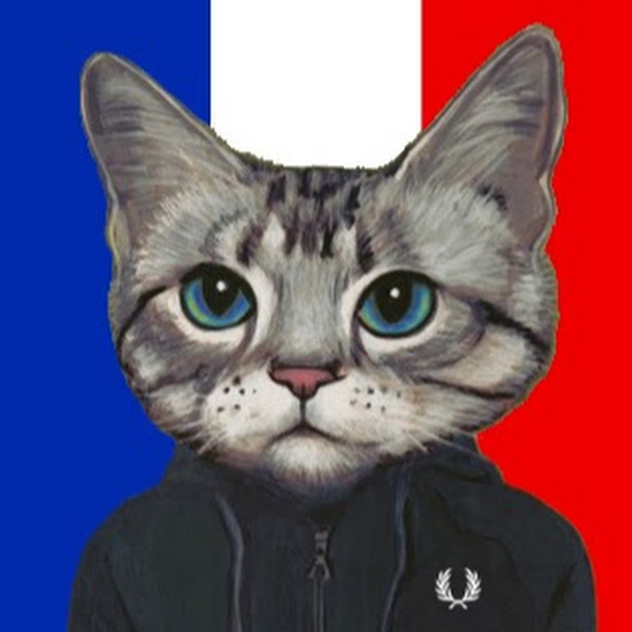 Le Chat Patriote Avatar channel YouTube 