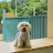 DDOO 데데오오