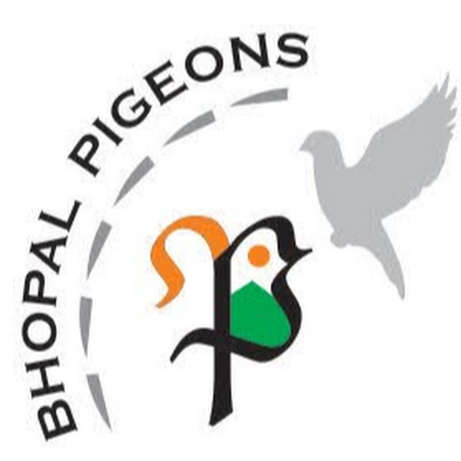 Bhopal Pigeons