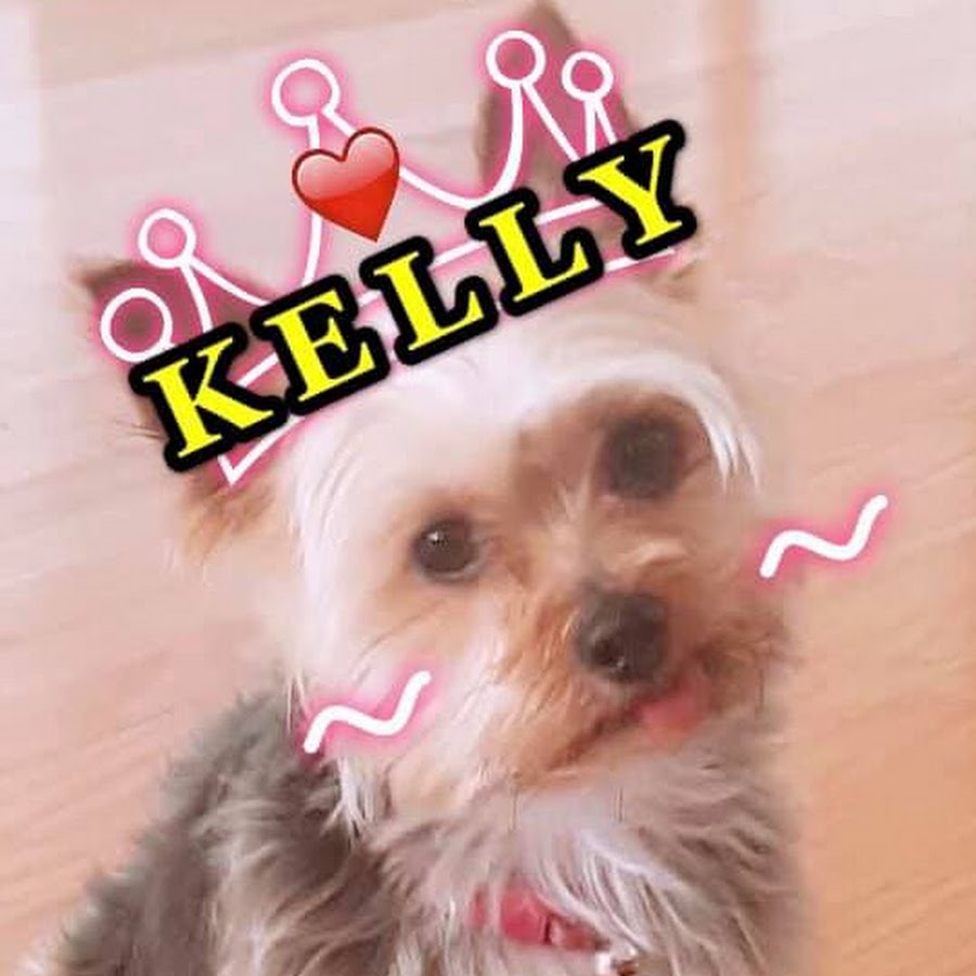 Kellyç´„å…‹å¤ رمز قناة اليوتيوب