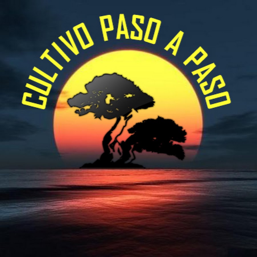 Cultivo Paso a paso YouTube channel avatar