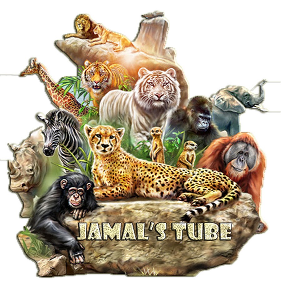 Jamal'S Avatar canale YouTube 