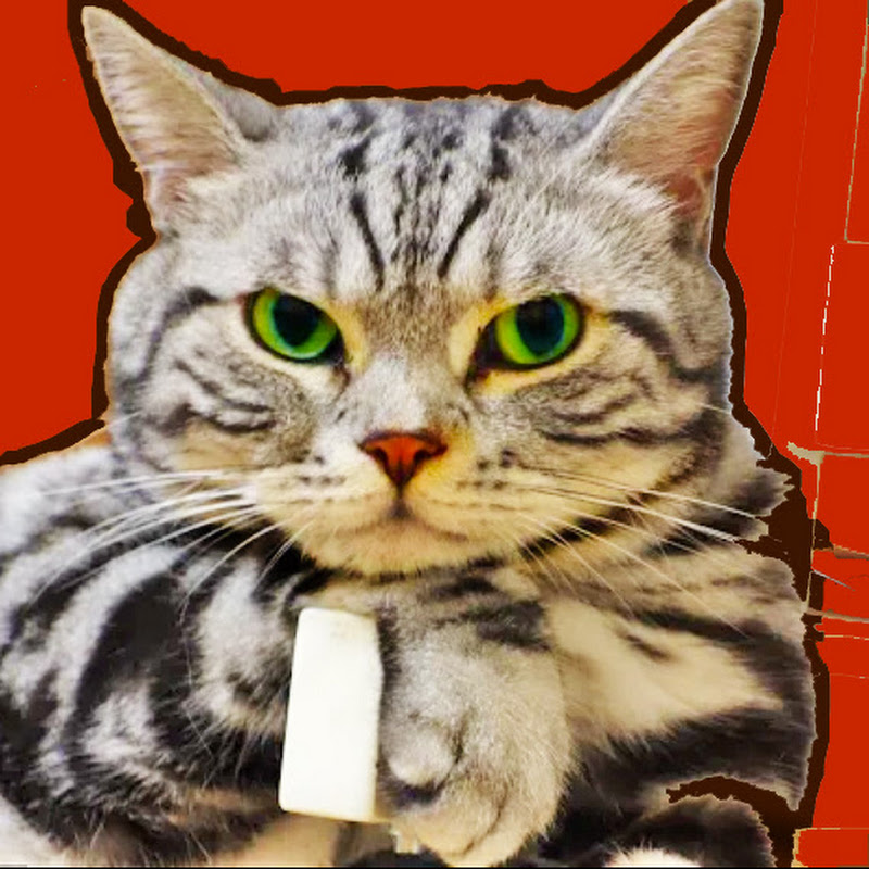 AGI - 網紅的藏寶箱 