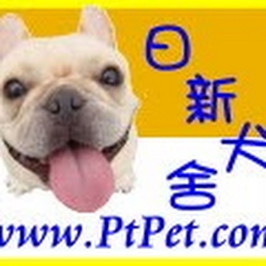 æ—¥æ–°çŠ¬èˆ YouTube channel avatar