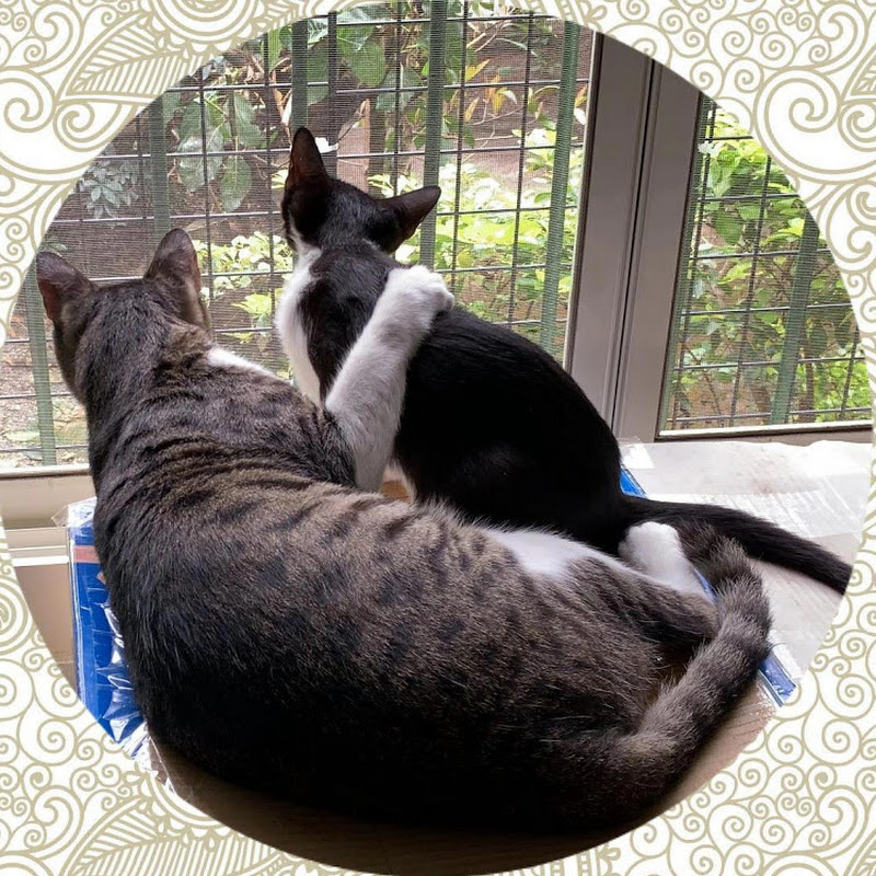 MiMi醬的快樂日常 - 網紅的藏寶箱 