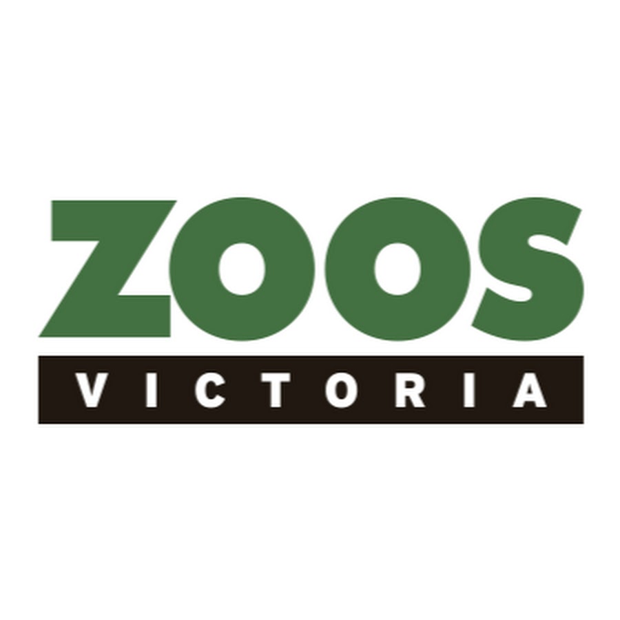 ZoosVictoria ইউটিউব চ্যানেল অ্যাভাটার