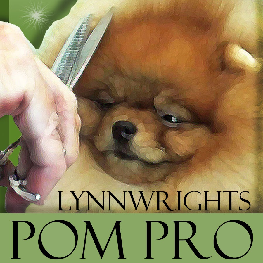 Lynnwrights POM PRO YouTube channel avatar