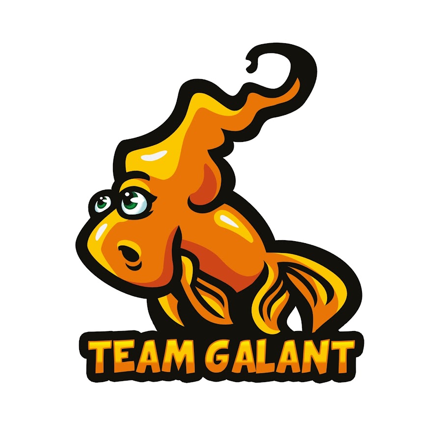 Team Galant