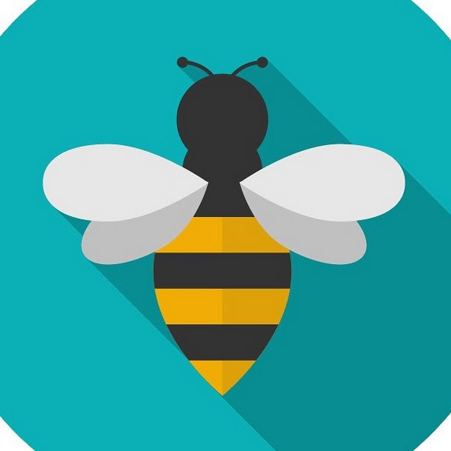 Bee Brain YouTube-Kanal-Avatar