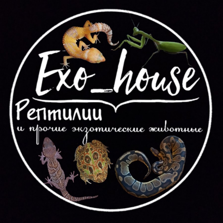 Exo_house / Ð ÐµÐ¿Ñ‚Ð¸Ð»Ð¸Ð¸ YouTube channel avatar