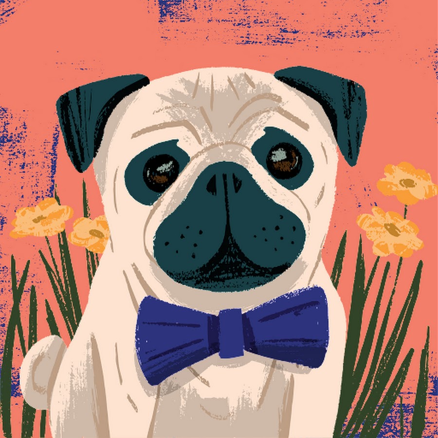 J Mo Ng Chanel Youtube Stats Channel Analytics Hypeauditor