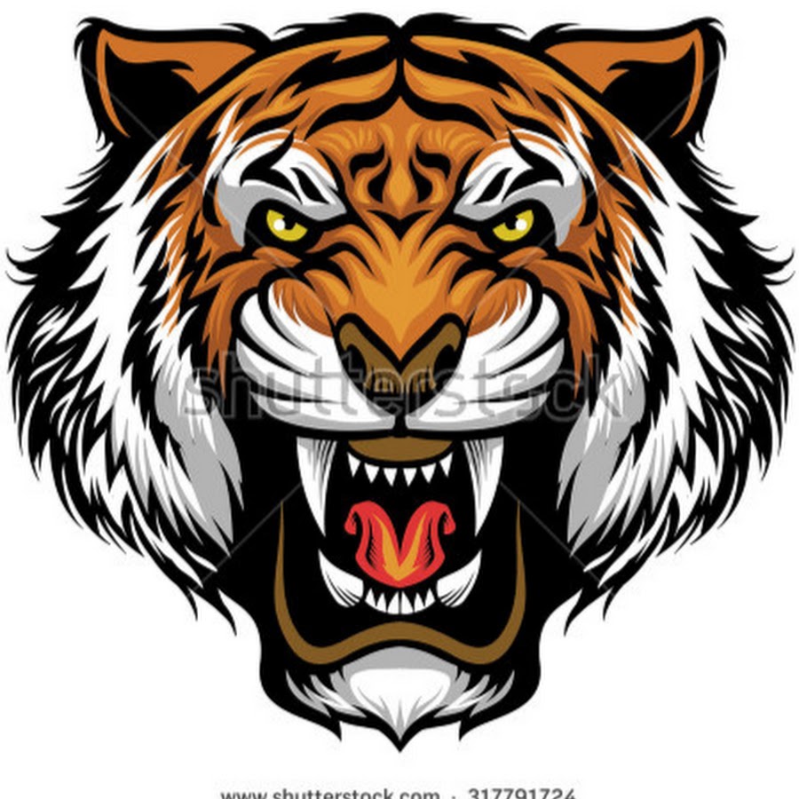 tiger news YouTube channel avatar