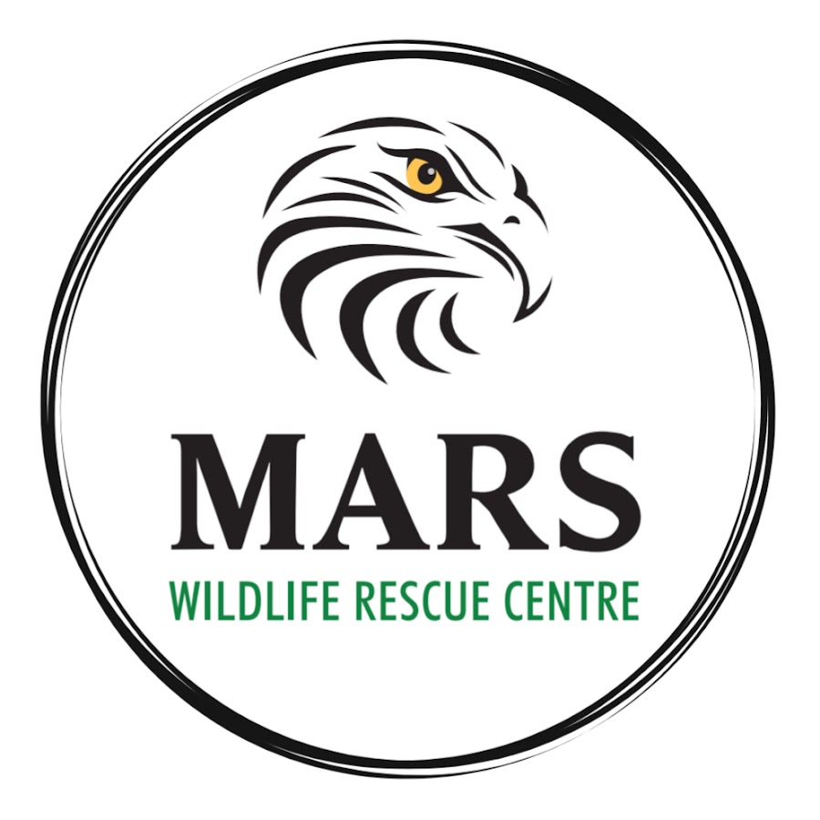 MARS Wildlife Rescue Centre YouTube channel avatar