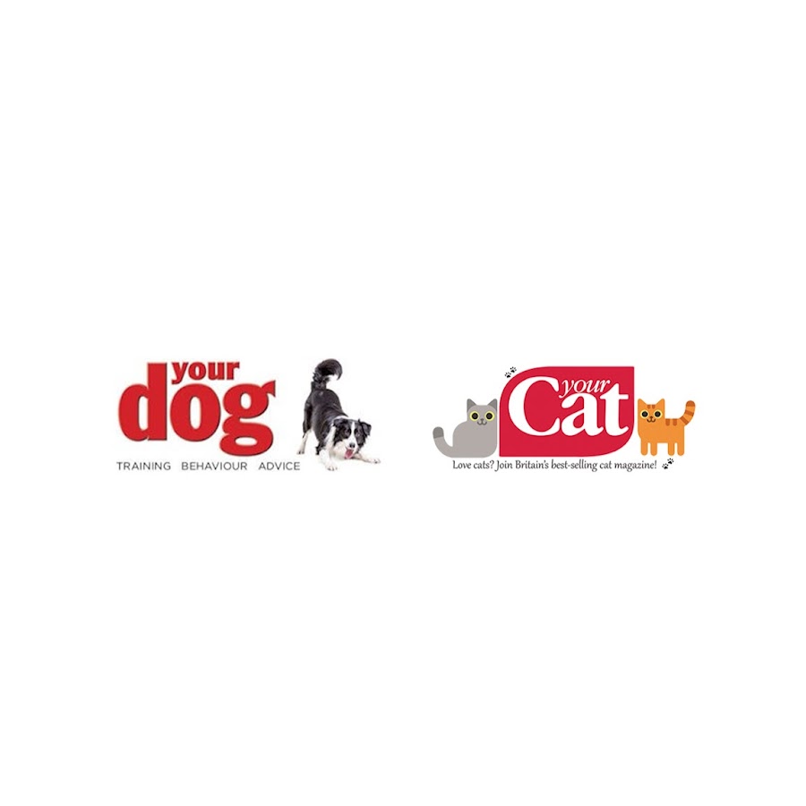 YourCat & YourDog YouTube channel avatar