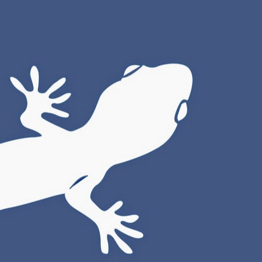 Gecko Alliance Marketing Services Youtube