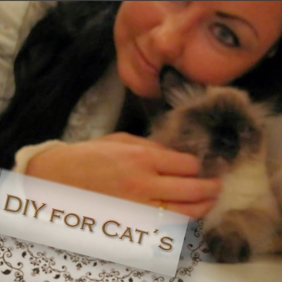 DIY for CATs by Hohentwielbirmas رمز قناة اليوتيوب