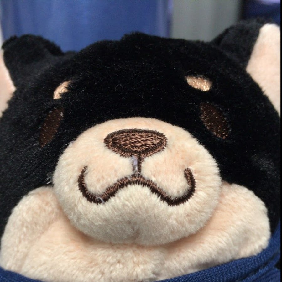 戸田くん Youtube