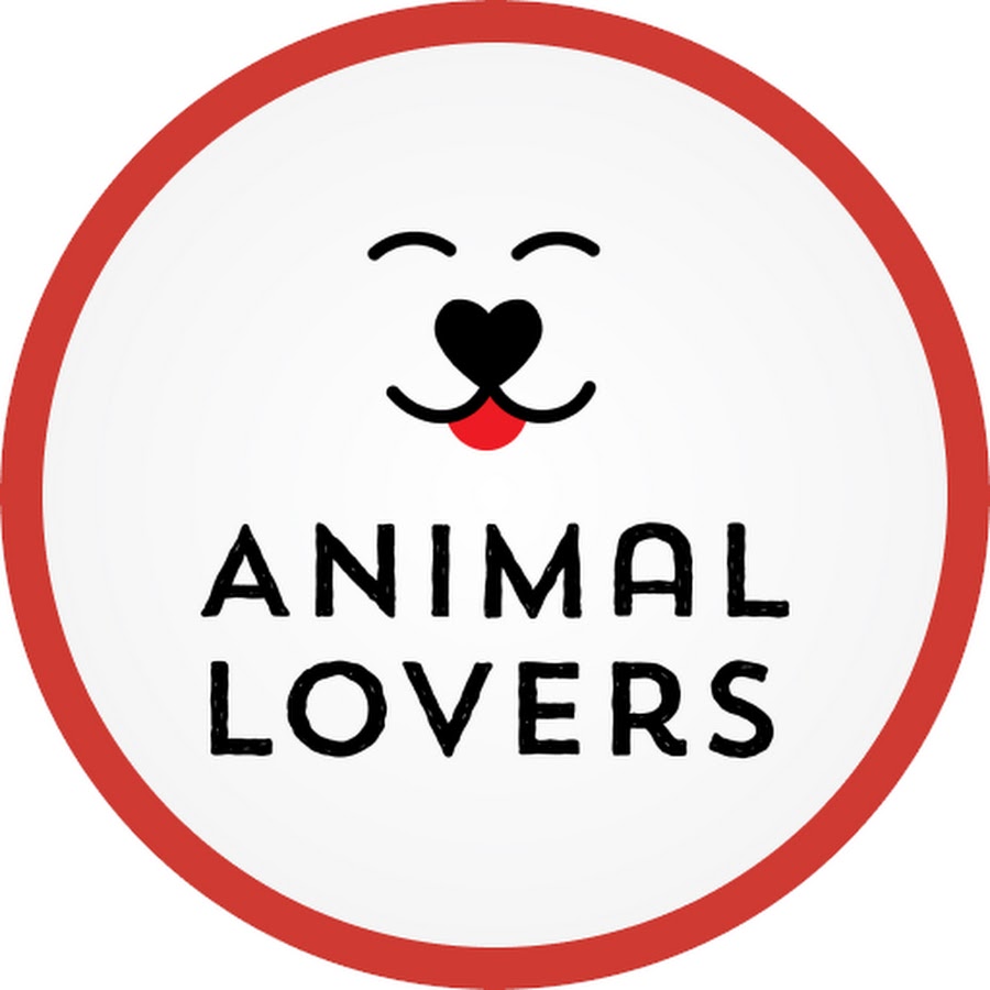 animal lovers Avatar del canal de YouTube