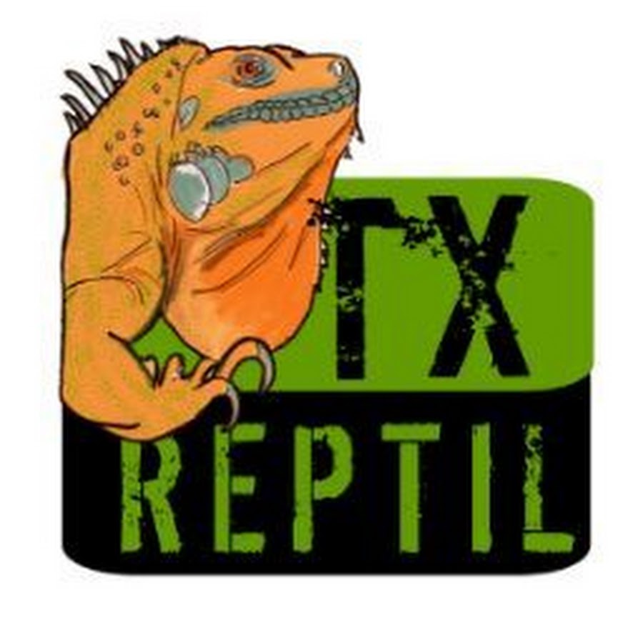 TX Reptil YouTube channel avatar