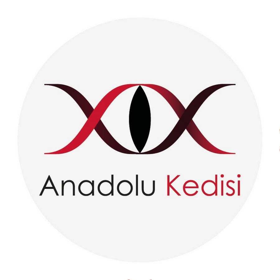 Anadolu Kedisi ইউটিউব চ্যানেল অ্যাভাটার