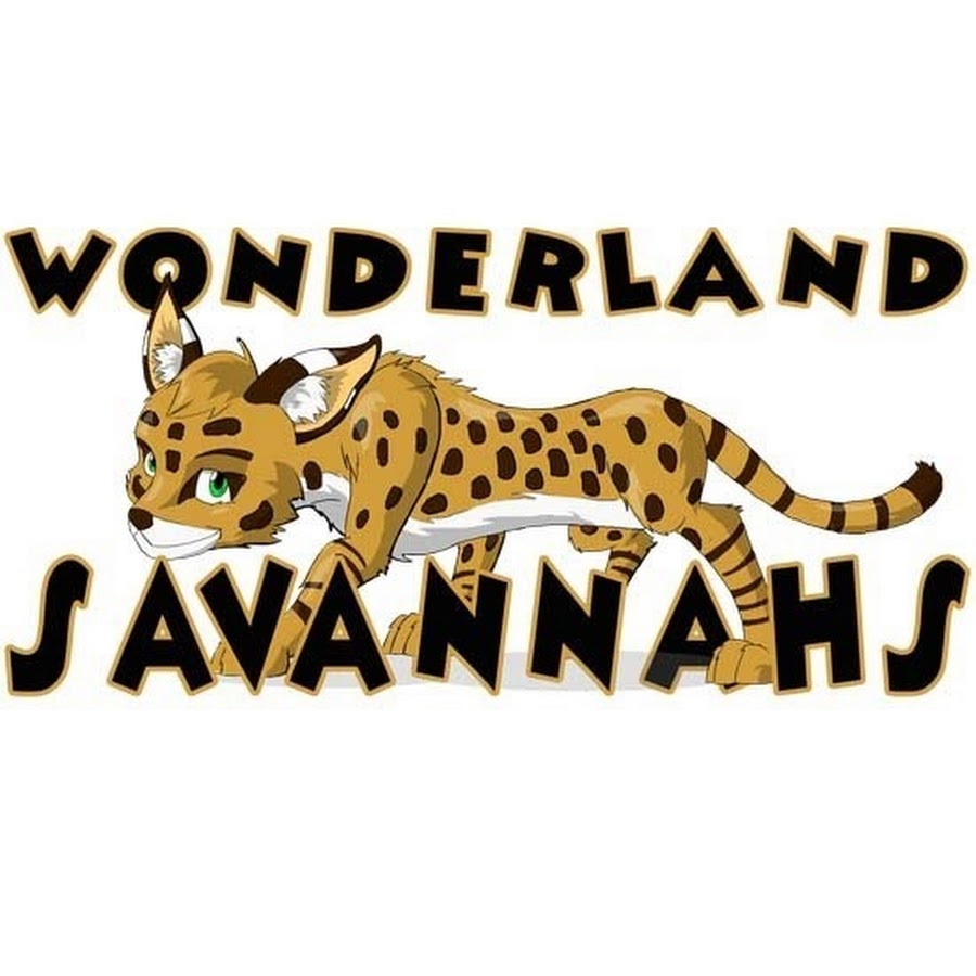 wonderlandsavannahs YouTube channel avatar