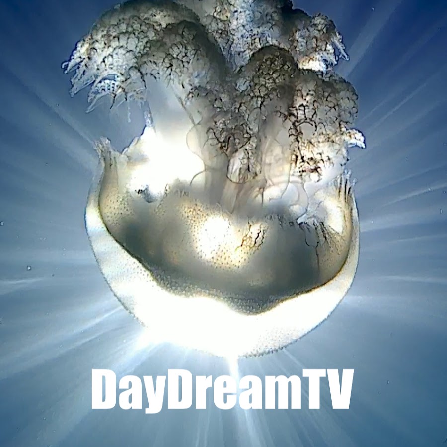 DayDreamTV YouTube channel avatar