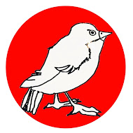 紗理奈撮り🦜さりなどり