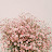 Cotton candy