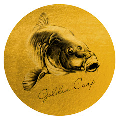 Golden Carp