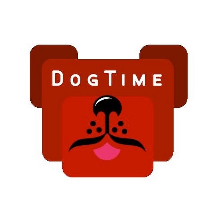 DogtimeTelevisie YouTube channel avatar