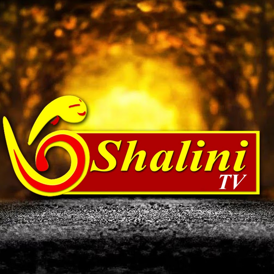 Shalini channel YouTube channel avatar