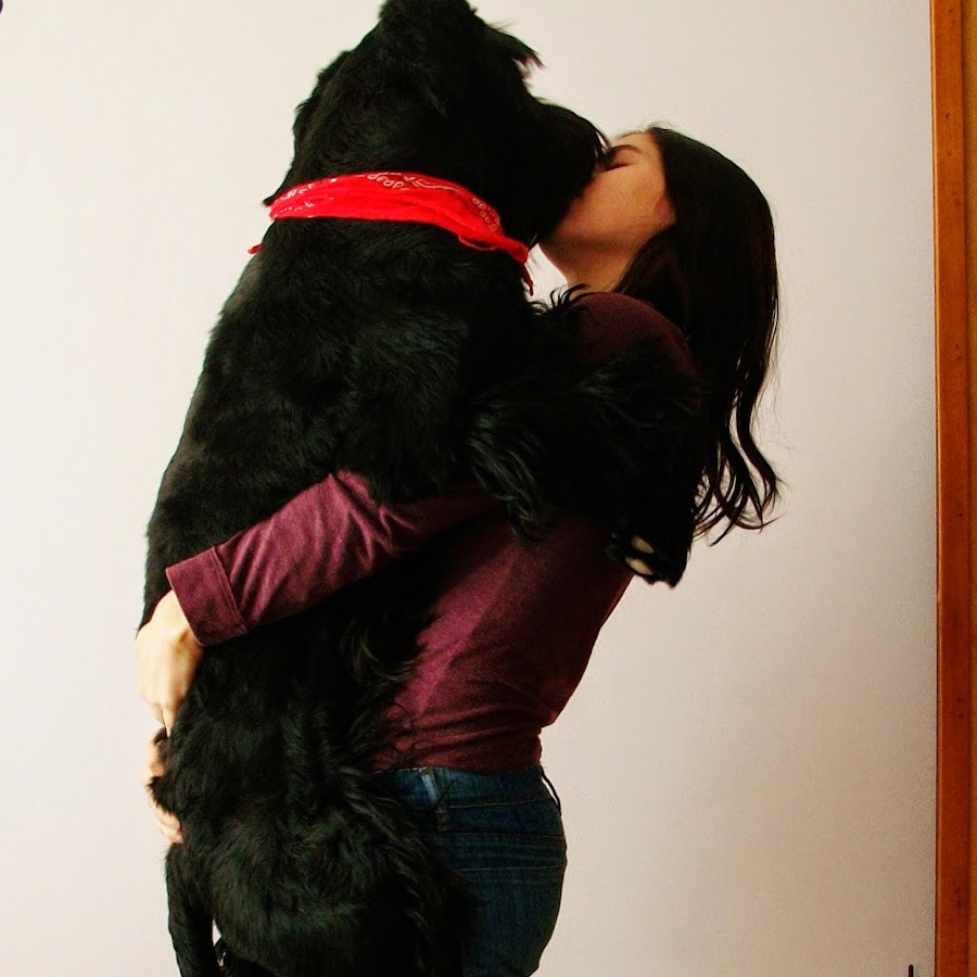 Giant Schnauzer YouTube kanalı avatarı