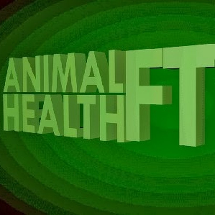 Animal Health FTW Аватар канала YouTube