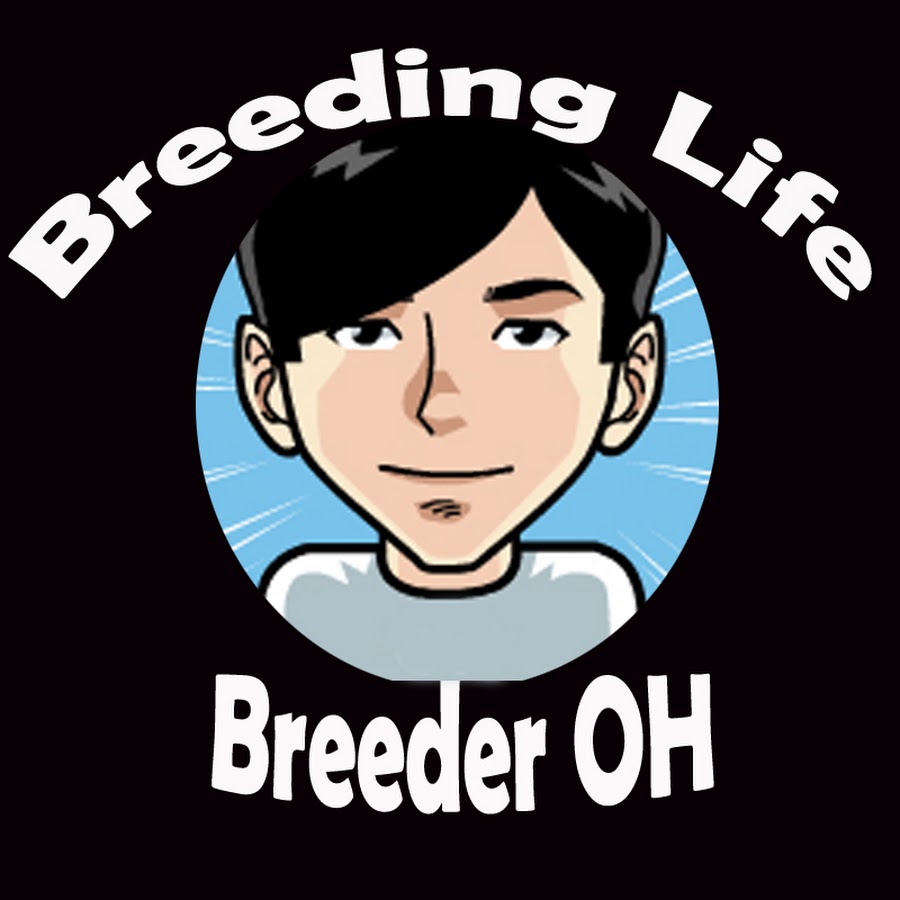 ì˜¤ë¸Œë¦¬ë”Breeder OH Avatar de canal de YouTube