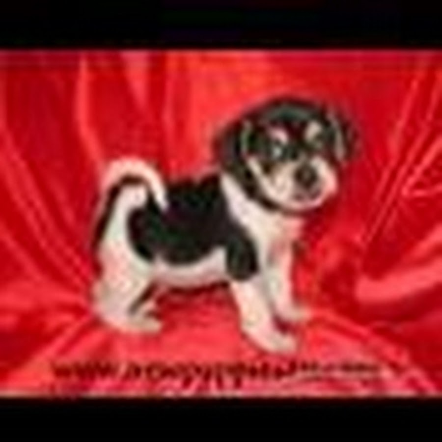 OklahomaPuppies यूट्यूब चैनल अवतार