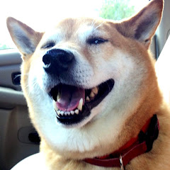Thumbnail of related channel