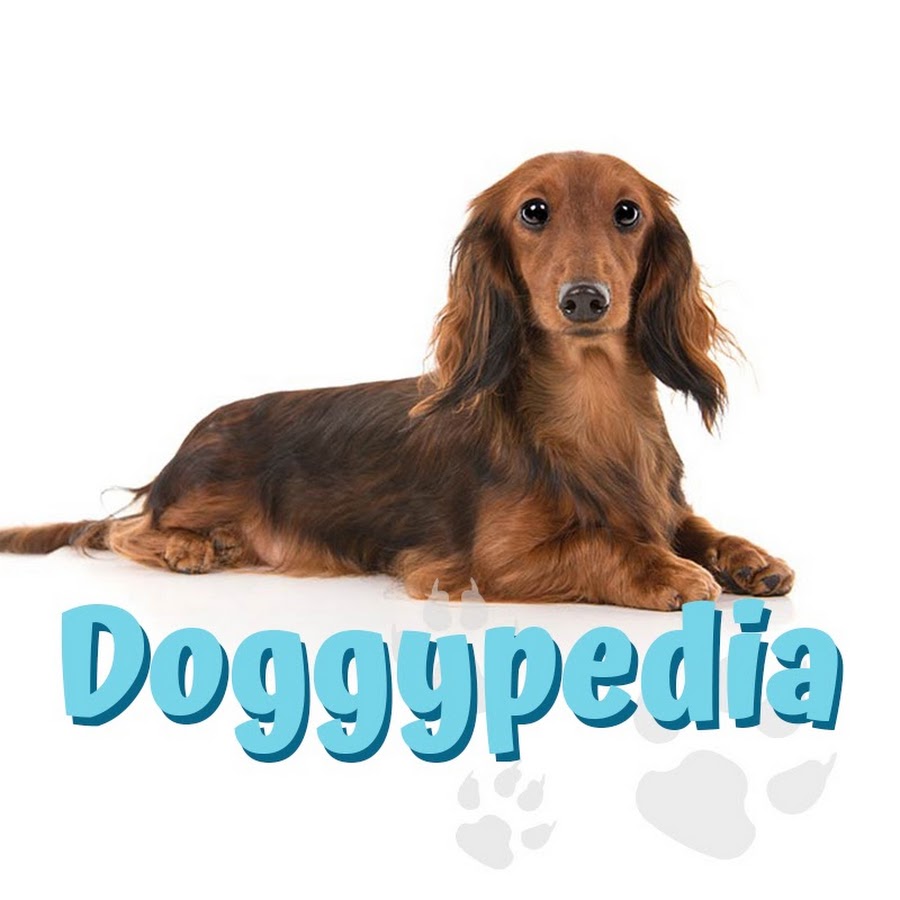 Doggypedia