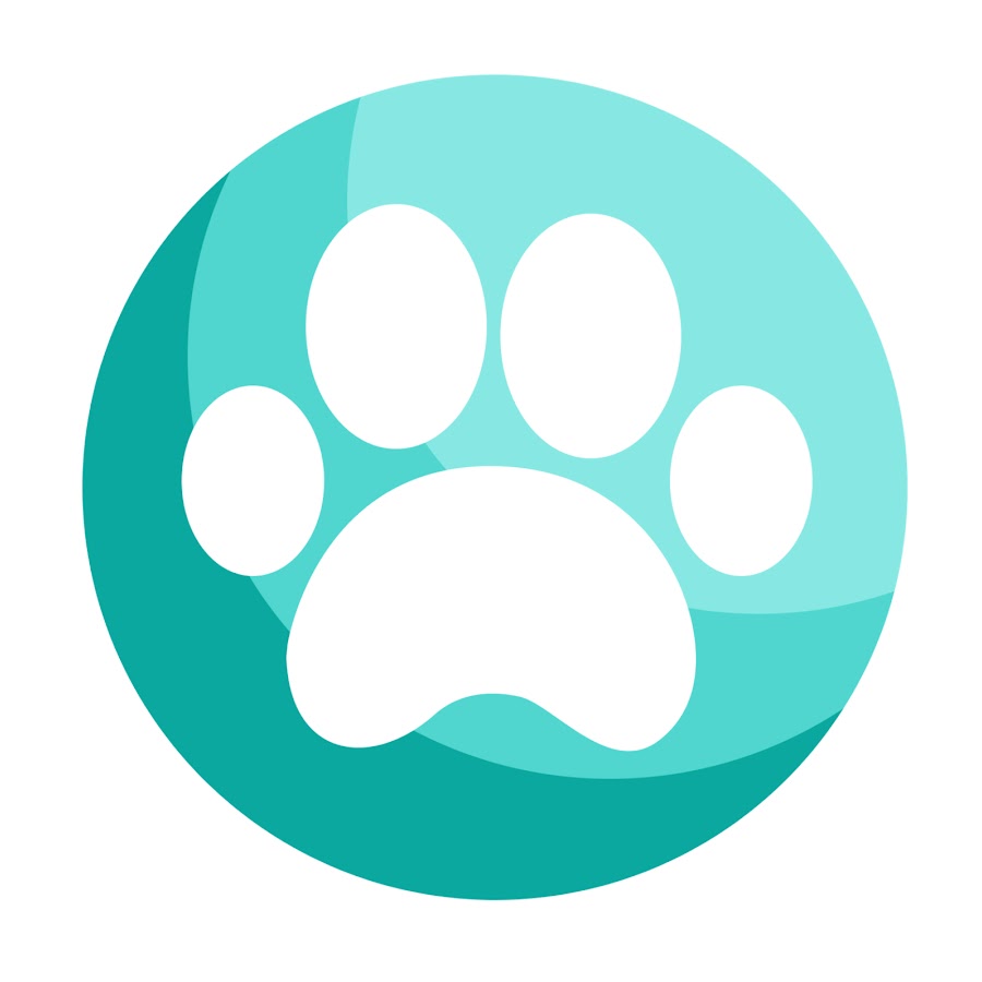 Animal Rescue Cambodia YouTube channel avatar