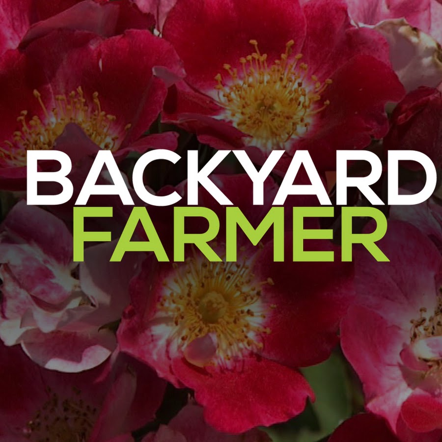 backyardfarmer YouTube-Kanal-Avatar
