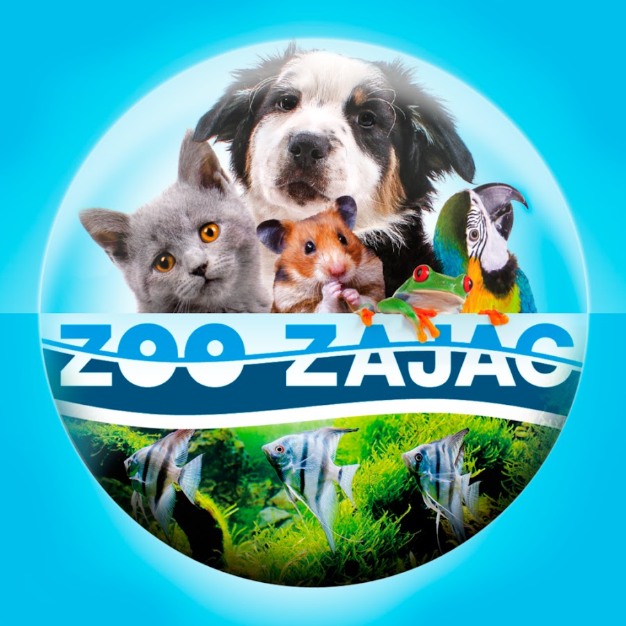Zoo Zajac رمز قناة اليوتيوب